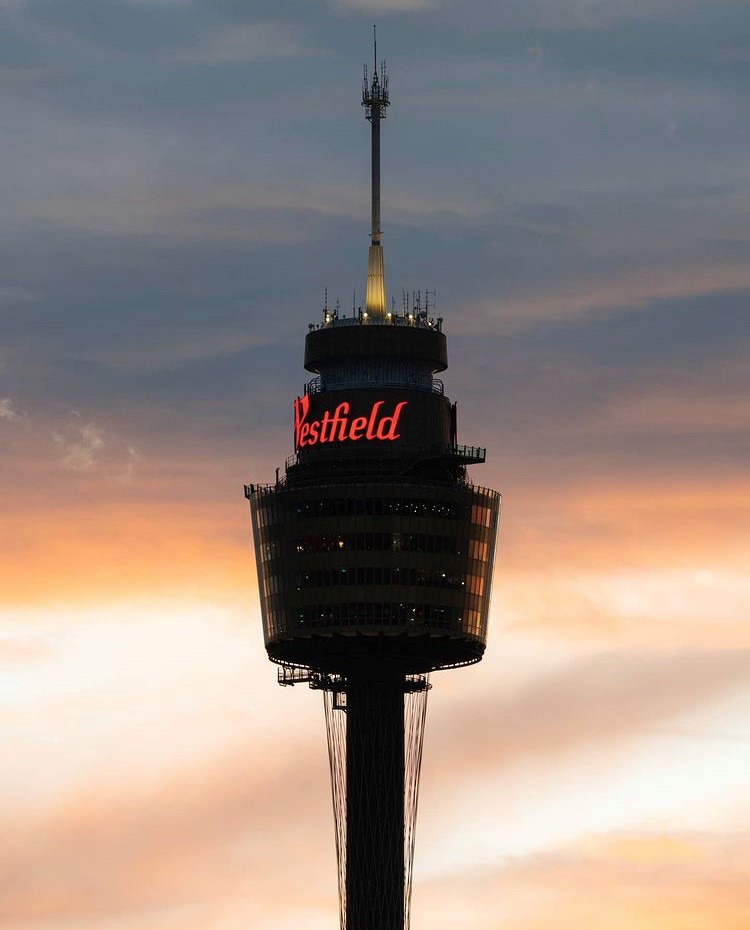 sydney tower at night